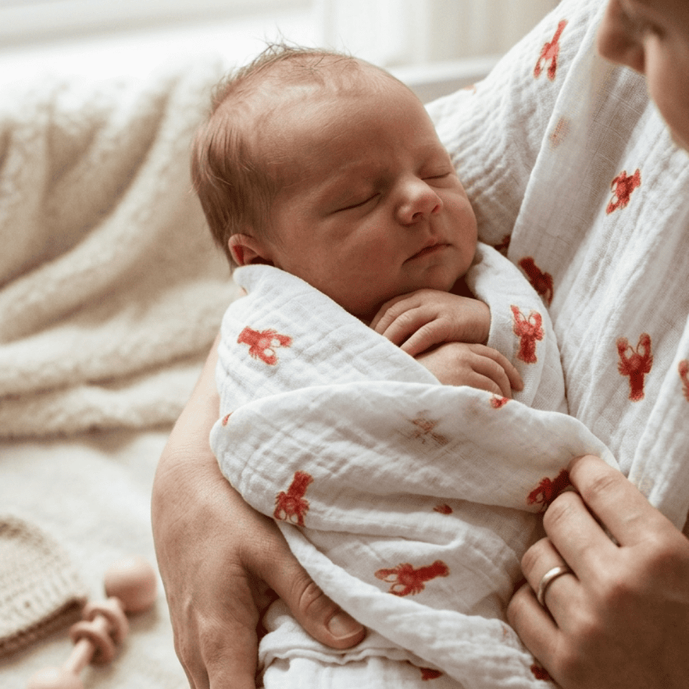 Maxi lange Les petits homards